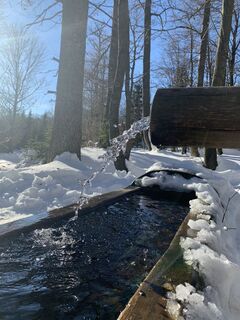 Fotografia z Stefan Lehner 2 na trase