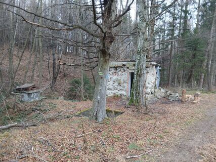 Photo de Attila Dolgos le long du parcours