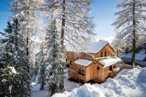 Alpenpark Turracherhöhe by Alps Resorts