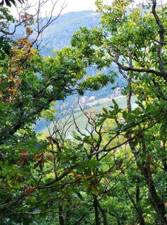 Foto da yolanda beck lungo il tour