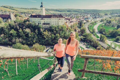Aussicht auf Schloss Horneck | Gundelsheim | HeilbronnerLand