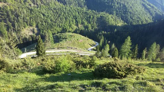 Weg zur Schießlingalm