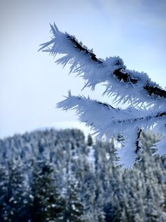 Foto von Martin Meusburger entlang der Tour