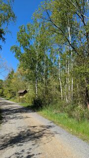 Fotografia z hochlandfamilie na trase