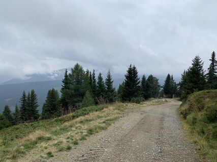 Fotografija s spletne strani Koen De Wit na poti