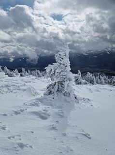 Fotografija s spletne strani MarionFeik na poti