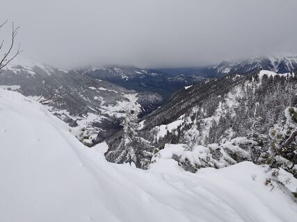 Fotografija s spletne strani Peter Seliner na poti