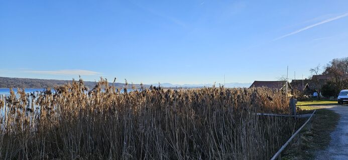 Fotografia z garrincha na trase