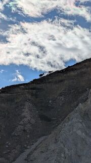 Foto von Brian Koster entlang der Tour