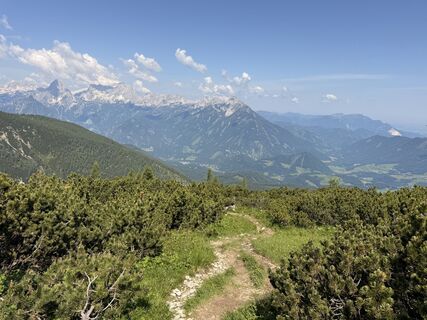 Zdjęcie z Natur_erleben_dg wzdłuż trasy