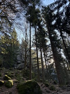 Fotografija s spletne strani Egon Dullinger na poti