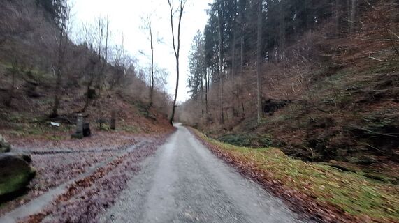 Fotografija s spletne strani Regina Fleischmann na poti
