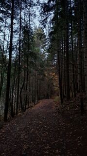 Foto von Márti entlang der Tour