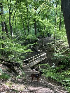 Fotografie z Mathieu Lesenne na trase