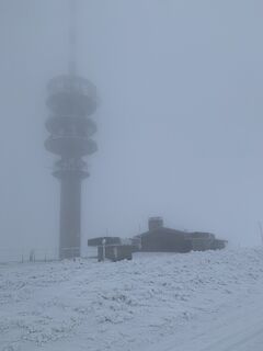 Foto från Kristina  1 under resans gång