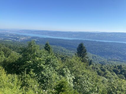 Fotografia z David Amrein na trase