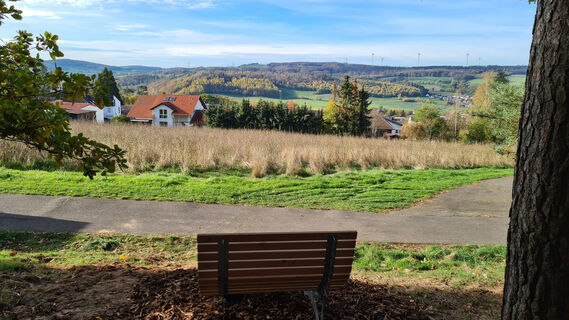 Waldsofa am Rivieraweg