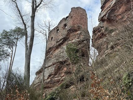 Fotografie z Norbert Herbig na trase