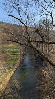 Zdjęcie z hochlandfamilie wzdłuż trasy