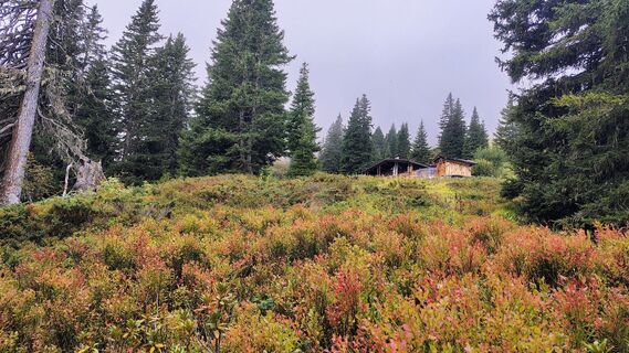 Foto fra Alex undervejs på turen