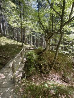 Foto von Klaus Braun entlang der Tour