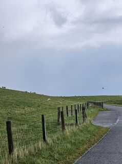 Foto från Angelika Gerung under resans gång