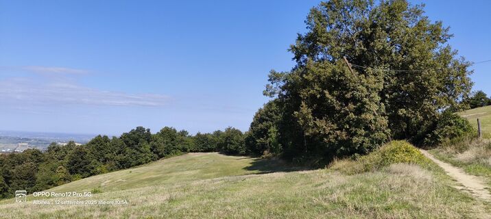 Fotografia z Sherpa 960 na trase