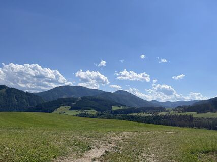 Foto de Amiks a lo largo del recorrido