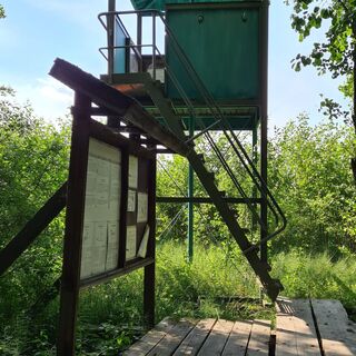 Vogelbeobachtungsturm am Kutajärvi