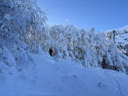 Fotografia z gilduz na trase