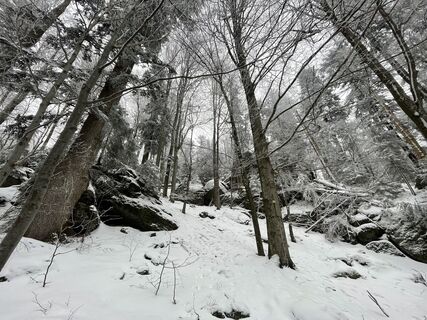Fotografija s spletne strani Nikolaus Ludwig 1 na poti