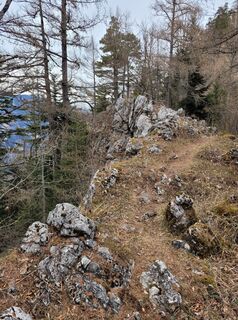 Fotografia z Juliane Jarke na trase