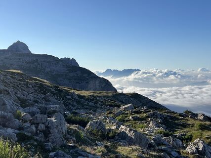 Photo de Heikoala le long du parcours