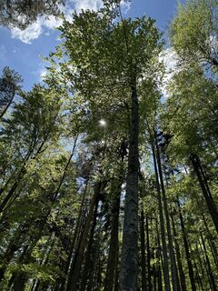 Foto von Gerhard Piglmann entlang der Tour