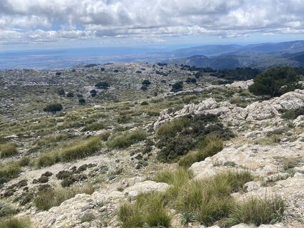 Foto från Rainer Pieper under resans gång