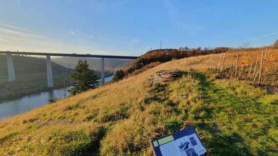 Fotografie z Jürgen Dubbert na trase