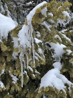 Fotografija s spletne strani Schabsi na poti
