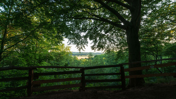 Blick auf die Sonsbecker Schweiz