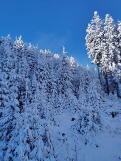 Foto de Albert Grillitsch a lo largo del recorrido