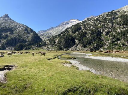 Fotografia z Gisela Walz na trase