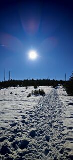 Fotografija s spletne strani ReginaSt na poti