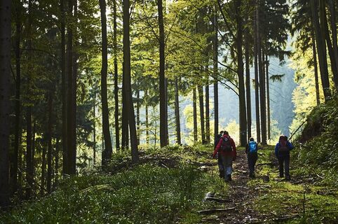 Unterwegs auf dem ALBTAL.Abenteuer.Track
