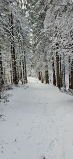 Fotografie z micsunel ciocirtau na trase