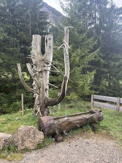 Fotografia z Saskia O. na trase