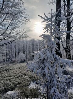 Fotografia z Daniel Kremiec na trase