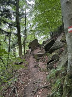 Photo de Babs Holz le long du parcours