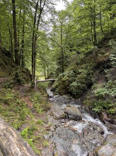 Fotografia z Iwona Bambacht na trase