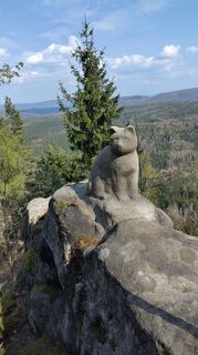 Foto de Januar Y a lo largo del recorrido