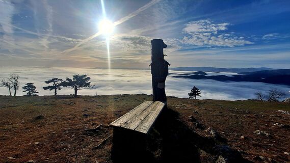 Zdjęcie z Regina Fleischmann wzdłuż trasy