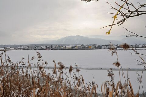 natur historien lehrpfad im winter_img_24280574